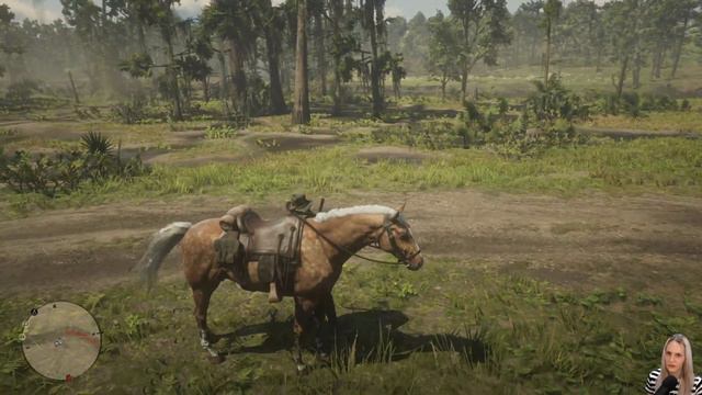 ЛОВЛЯ ЖИВОТНЫХ ➖ Red Dead Redemption 2 - Прохождение #9