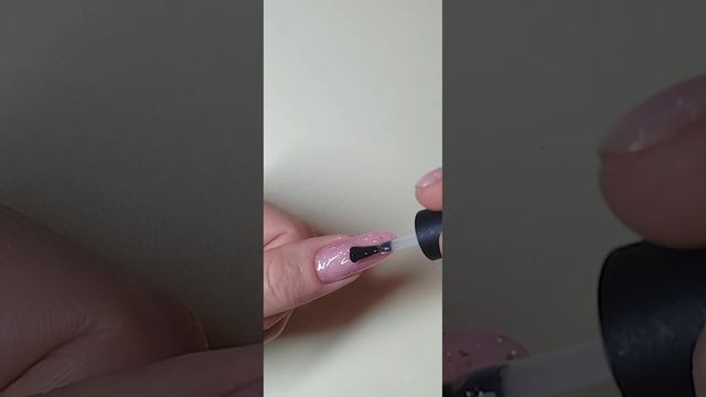 petal_20240211_013758.mp4