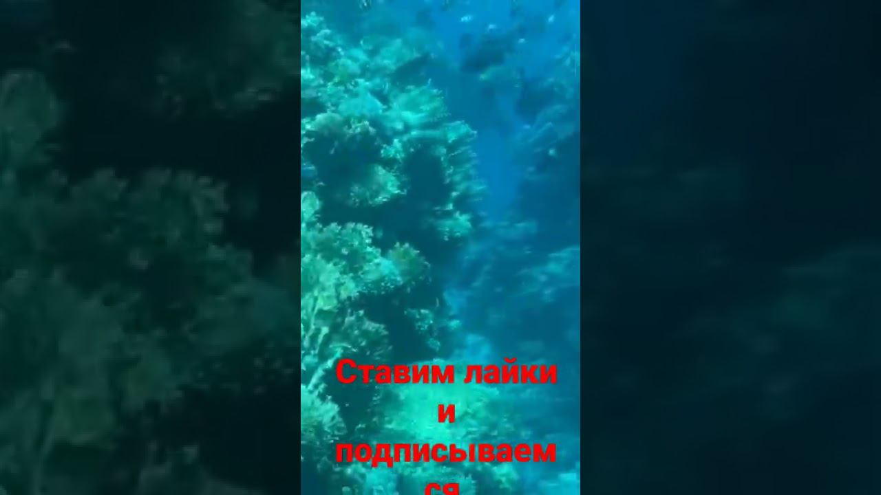 смотрим рыбак!