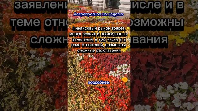 #Астрологический_прогноз на неделю с 29 июля по 4 августа