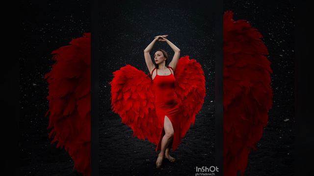 Вивальди❤ Фотосессия феникс 🔥🐦Карабаш