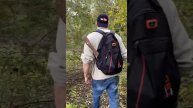 Огромный жук чуть не съел нашего кота!