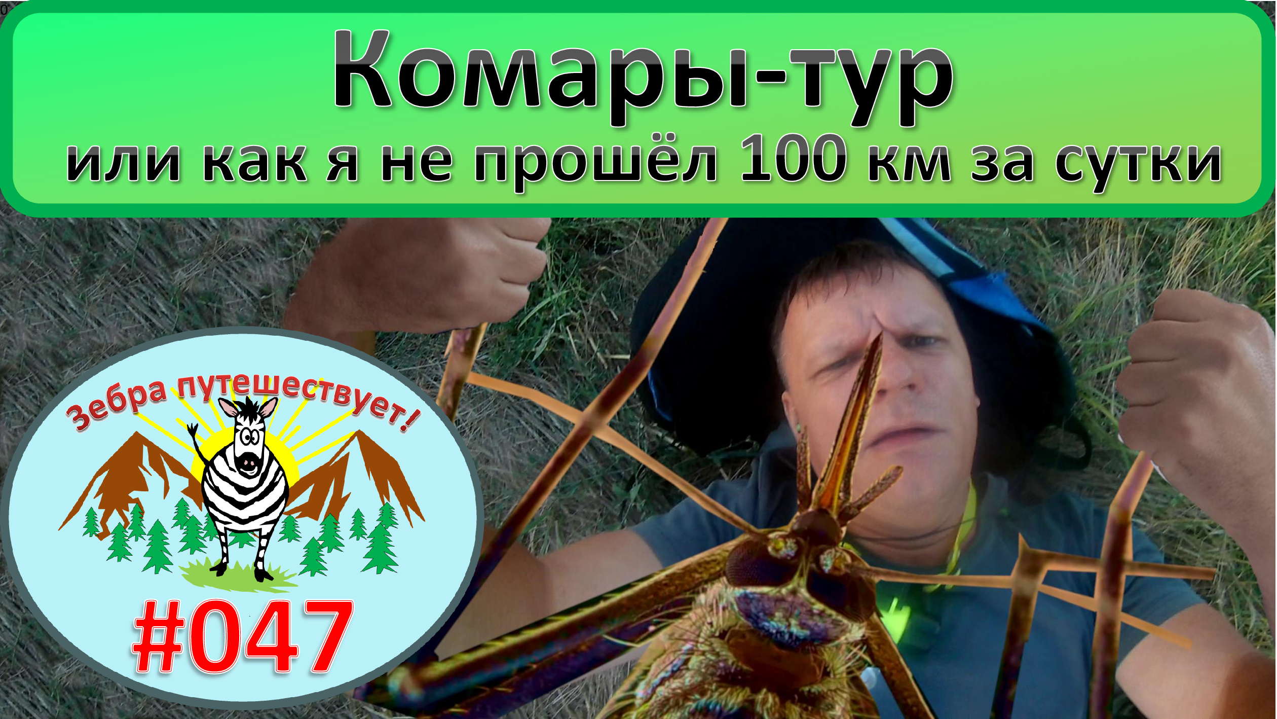 Комары-тур (как я не прошёл 100 км за сутки)
