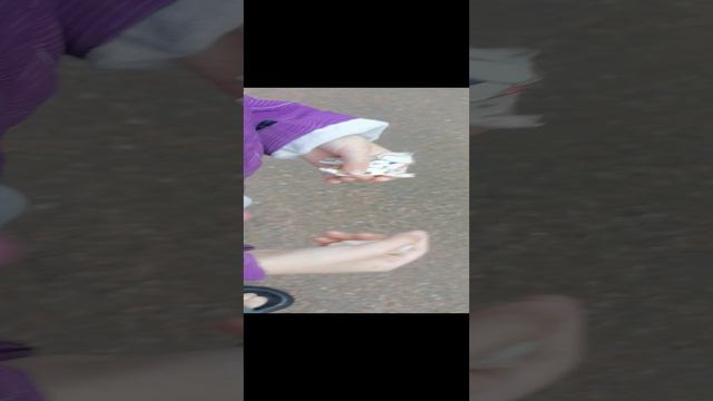 VID_20240831_174339.mp4