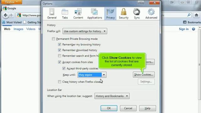 Managing Cookies in Mozilla FireFox: How-To Video