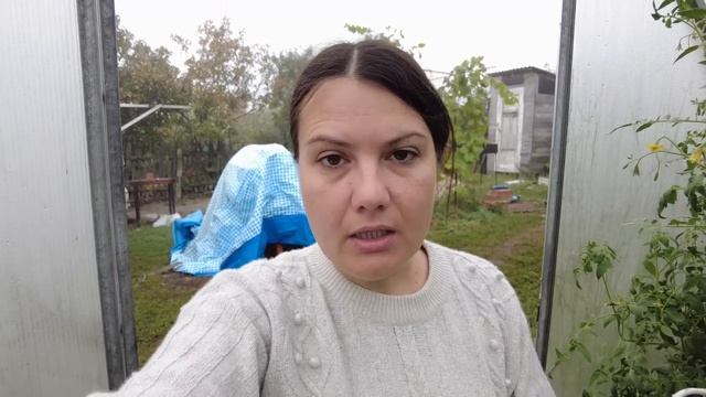 Постриглась? / Рачейские скалы?/ Посадила малину?