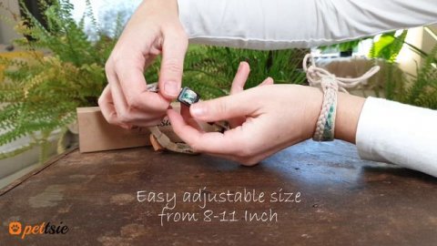 Pettsie Breakaway Cat Collar with Heart and Matching Friendship Bracelet