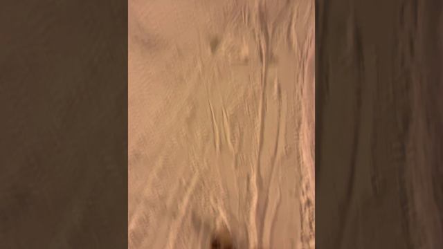 День Рождения!