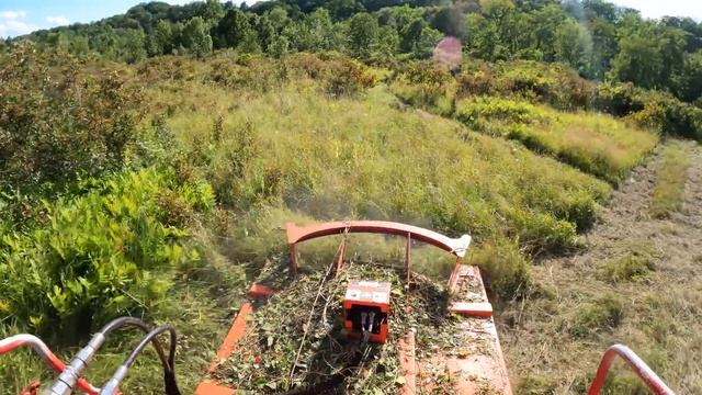 Mulcher vs brush mower