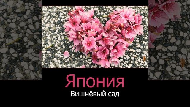 Тайский массаж