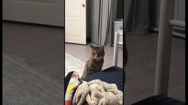 Зачем мы здесь?