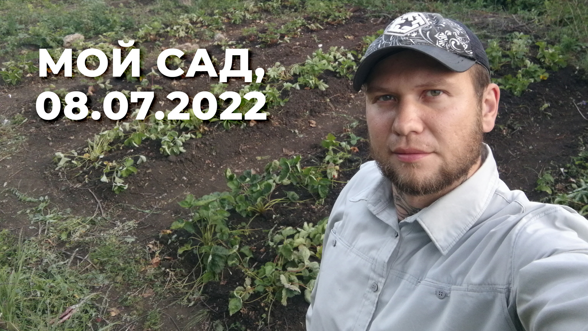 Мой сад, 8 июля 2022