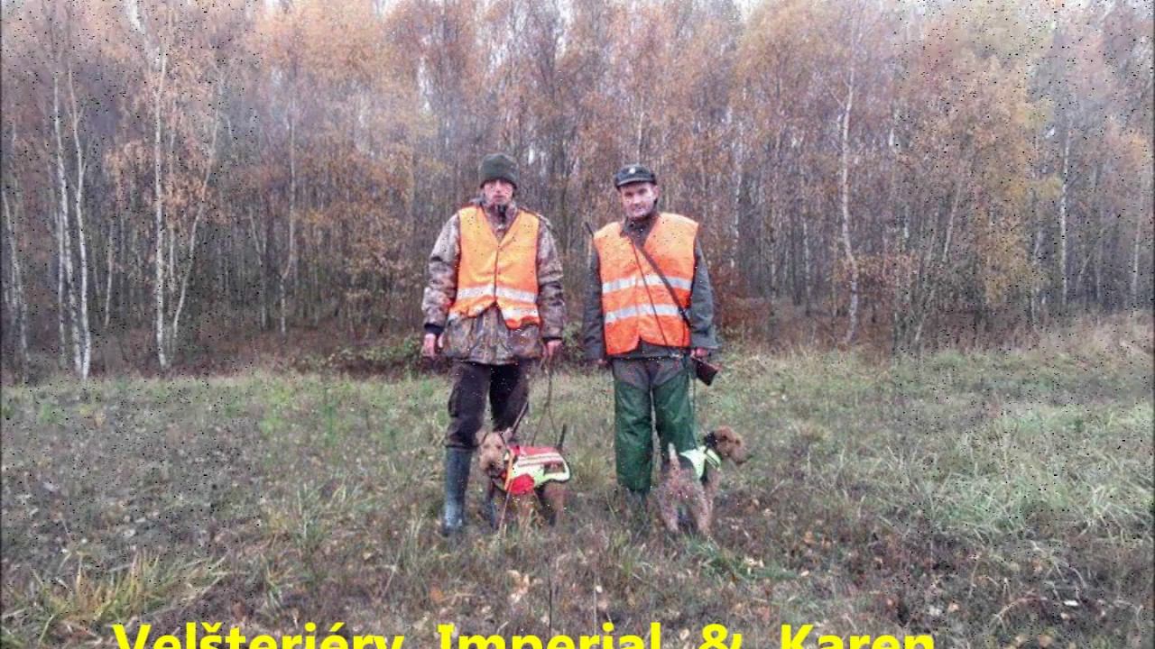Naháňky lov Česká Republika XI 2016