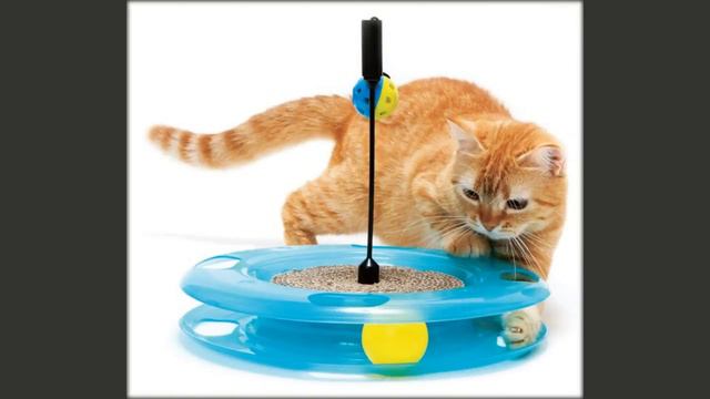 интерактивные игрушки для кошек