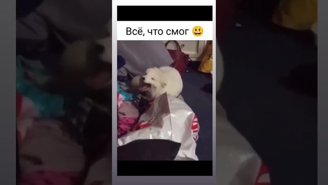 Все  что смог ???