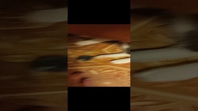 Тимоша и мышка ??