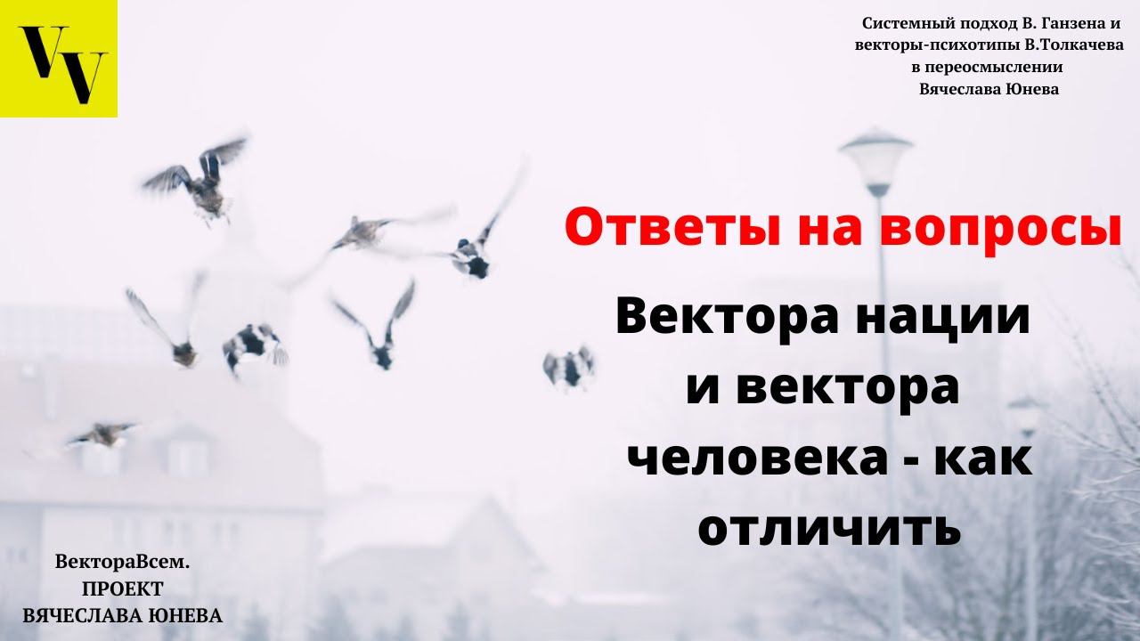 Вектора нации и вектора человека - как отличить. ВектораВсем. Проект Вячеслава Юнева