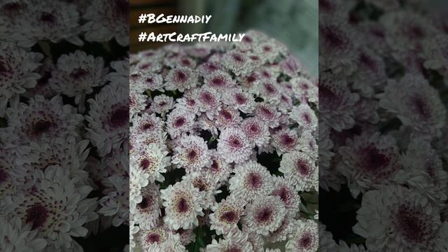 BGennadiy - The Weekend Background Music [2024] - ArtCraft Family (цветы / flowers) #shorts