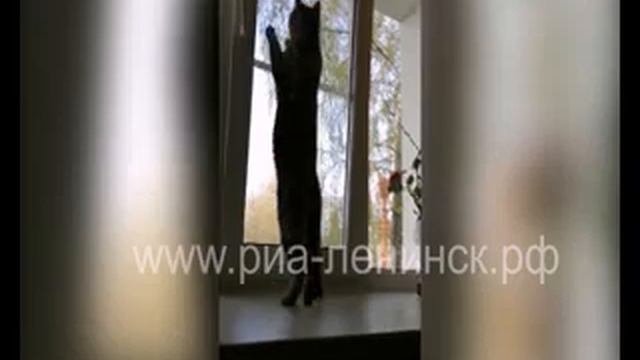 Сонечка - участница рубрики «Наши любимые животные»