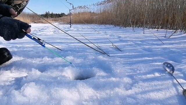 Этот способ ловли ещё не подводил, зимняя рыбалка 2022года