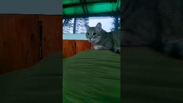 VID-20230707-WA0031.mp4