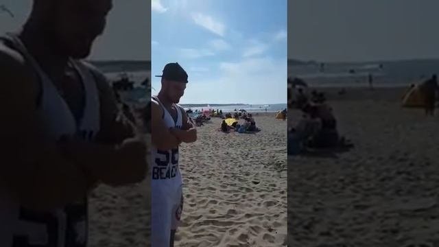 сладкая  собака охраняет