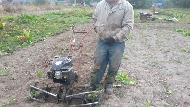 Дешёвые активные роторы вполне работают после доработки. Дешевая и легкая обработка почвы.