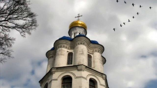 журавли