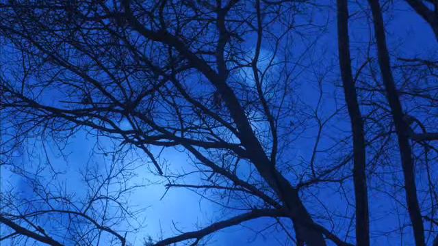 Moonlight Sonata