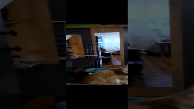 крхг крхг я до марта не буду выпускать ролики простите ето из-а Дениса???