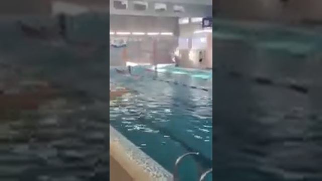 Соревнования в бассейне 100метров