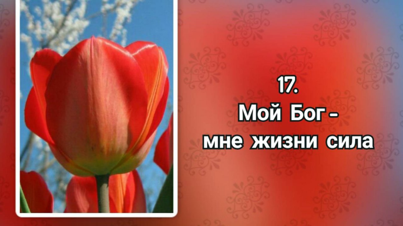 Гимны надежды 17 Мой Бог - мне жизни сила (-)