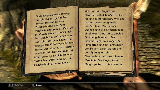 Skyrim Dual Reloaded #002 ☆ Drachenblut ☆ (HD+ | PC)