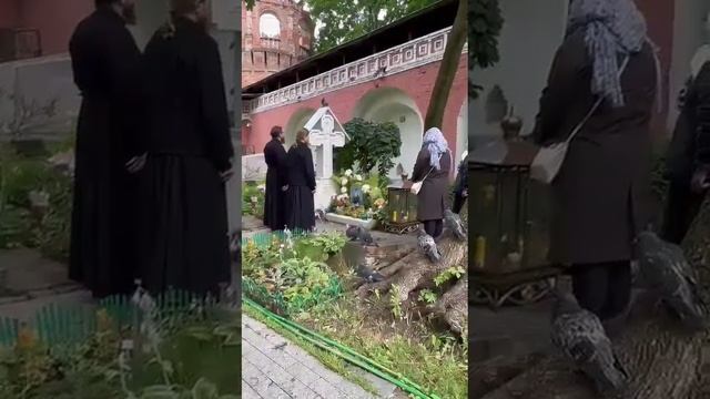 ДОНСКОЙ МОНАСТЫРЬ! У СТАРЦА ДАНИИЛА САРЫЧЕВА