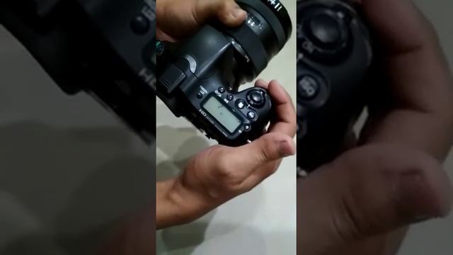 Sony Alpha A77