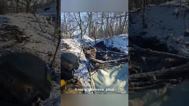 Хроники СВО нп Клещеевка Артемовское направление