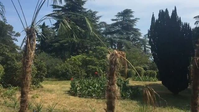 Крым г Ялта 2018 год Ай-Петри Массандровский парк Ялтинский зоопарк Крокодиляриум
