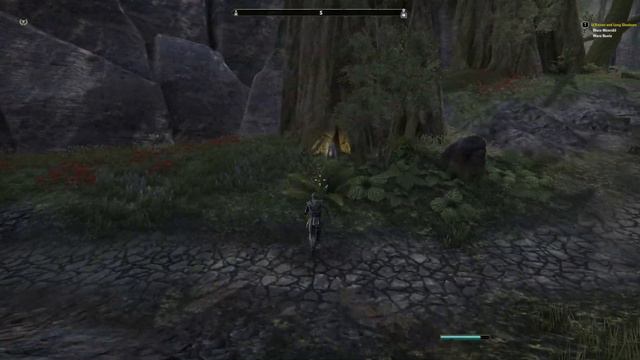 The Elder Scrolls Online Elsweyr #16 - Прохождение на русском