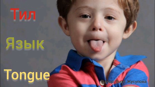 Умут: Ички органдарды орус жана англис тилинде үйрөнөбүз!