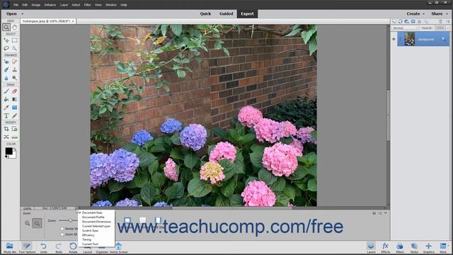 Photoshop Elements 2020 Tutorial Viewing Document Information Adobe Training