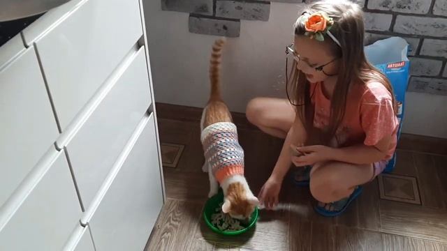 Приемная семья. Переезд. Разбираем мебель. Пришла фура.