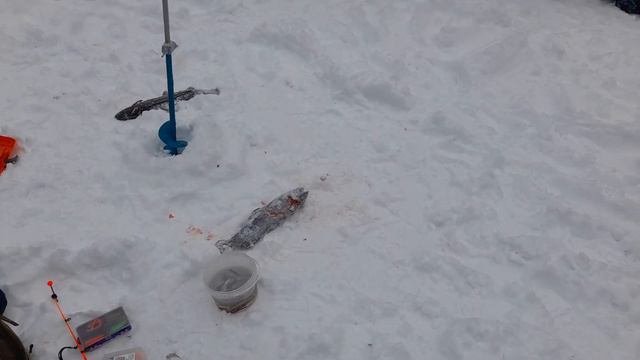 17 февраля 2024 г.(2)