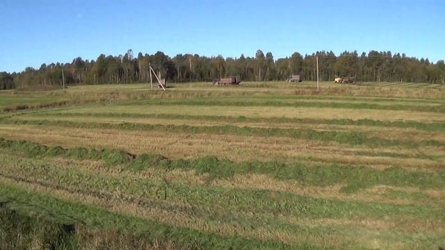 Заготовка Сенажа в Сентябре