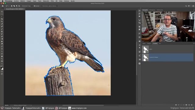 Cómo vectorizar una imagen en 2 PASOS MUY FÁCIL | PHOTOSHOP TUTORIAL