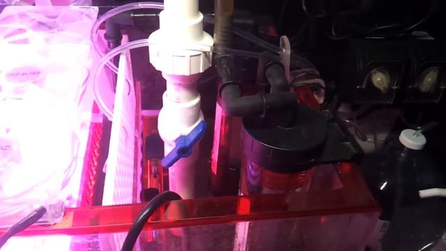 90 gallon Reef Build - Dosing Pumps & Reactors - Update 10