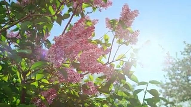 Нежная музыка, успокаивает нервную систему и радует душу ? лечебная музыка для сердца и сосудов #5