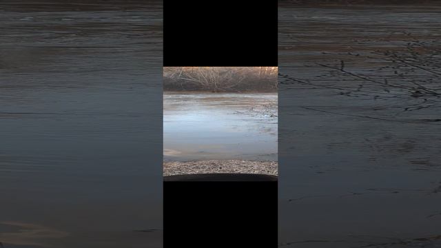 Бобер