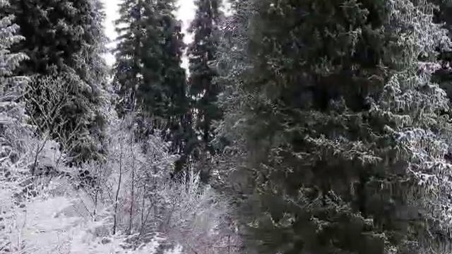 Снег во сне