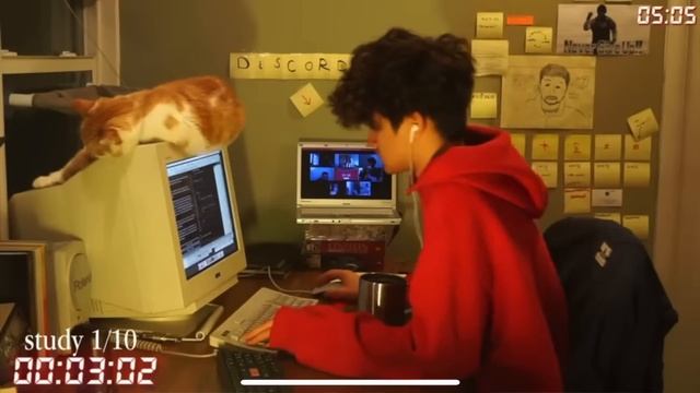 The rise and fall of StudyTube: hustle culture and TikTok consumerism