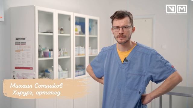 Про стоимость ветеринарных услуг